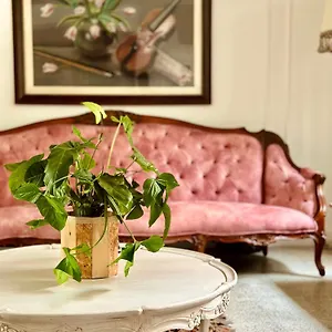 Hotel Boutique Fiorentina Medellin Medellín